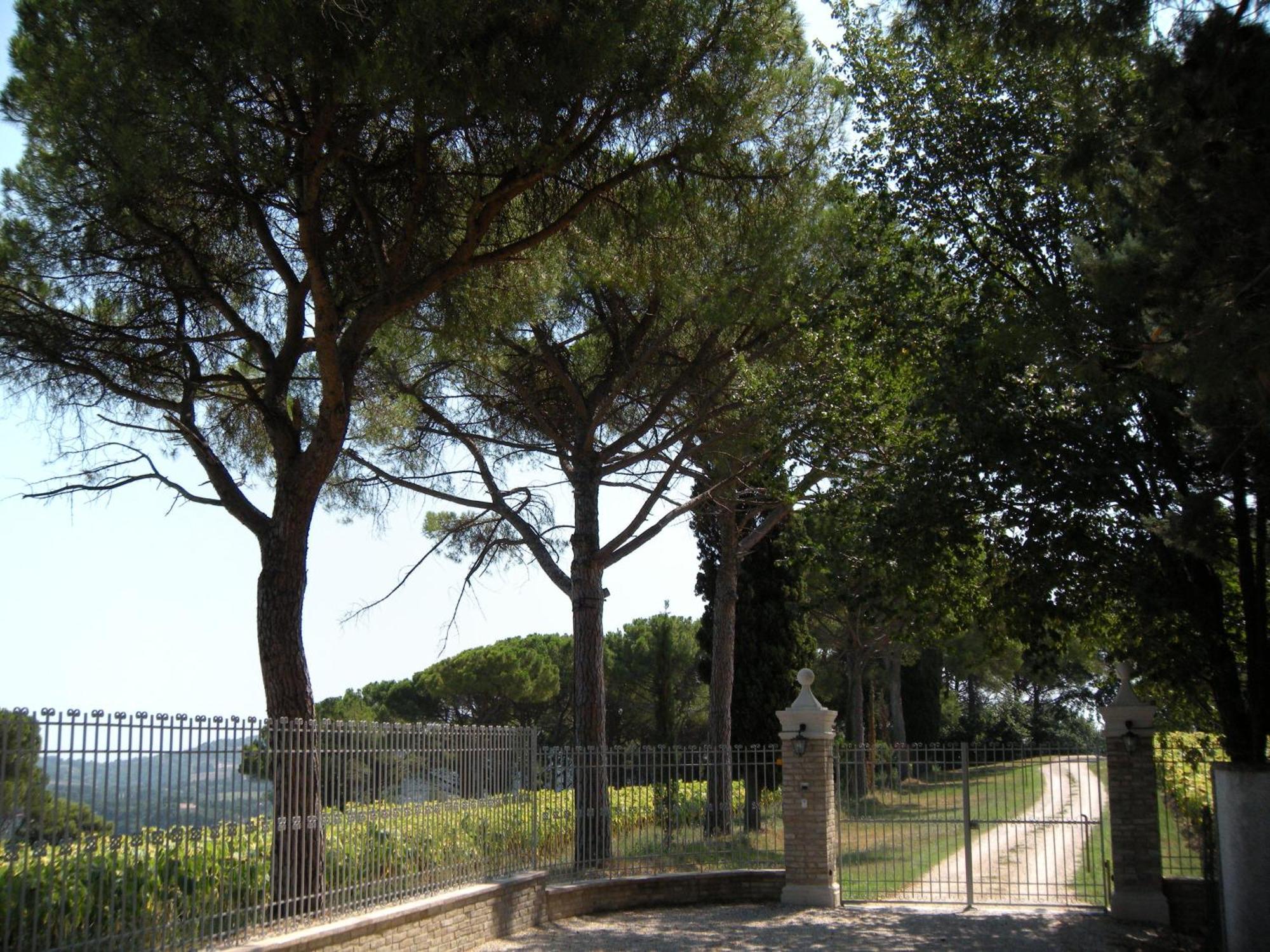 Il Pignocco Country House Santa Veneranda Εξωτερικό φωτογραφία